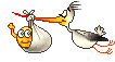 stork